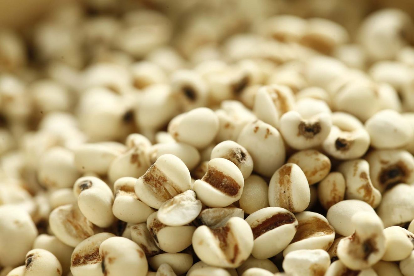 Graupen die leicht verdauliche Kost aus Gerstenkörnern