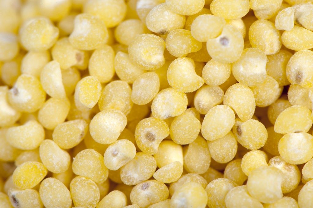 hirse korn