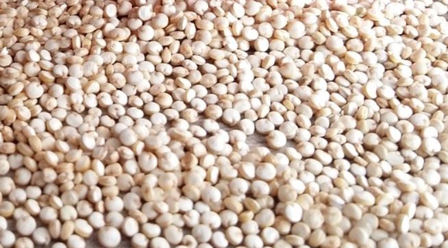 quinoa
