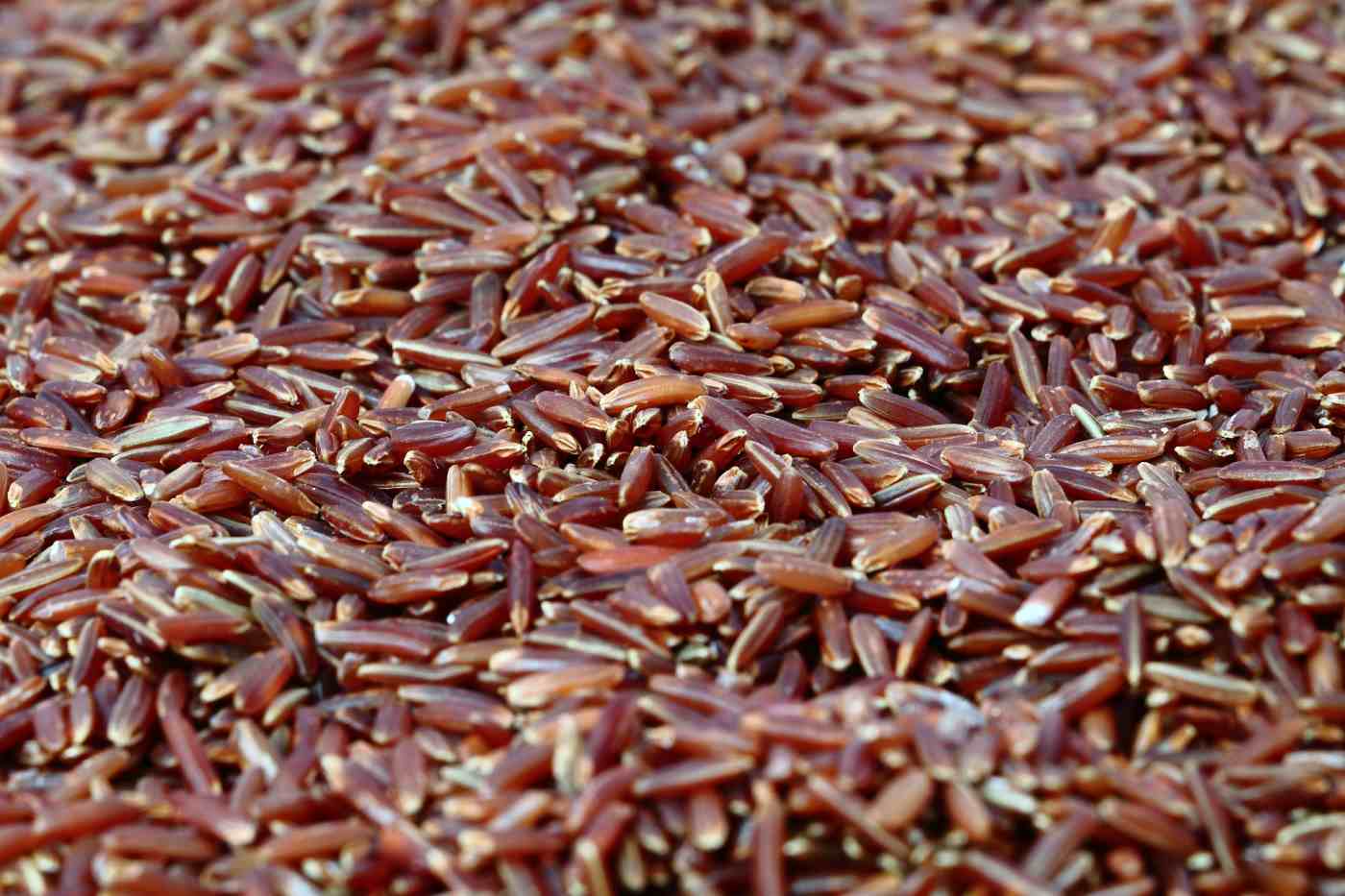 Roter Reis senkt den Cholesterinspiegel und schützt das Herz