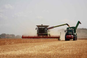 Getreideanbau in Deutschland: Wissenswerte Fakten über die moderne Landwirtschaft 87 Getreideanbau Ernte