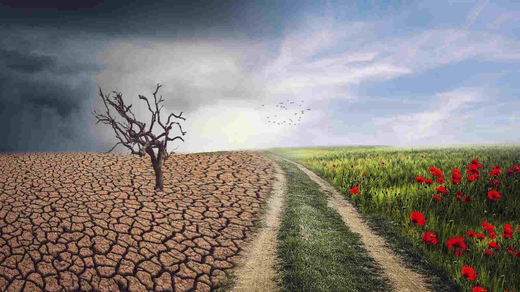 Getreideanbau in Deutschland: Wissenswerte Fakten über die moderne Landwirtschaft 85 Klimawandel klimaresistentes Getreide